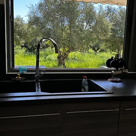 Διαμέρισμα Elaiocampus Luxury House