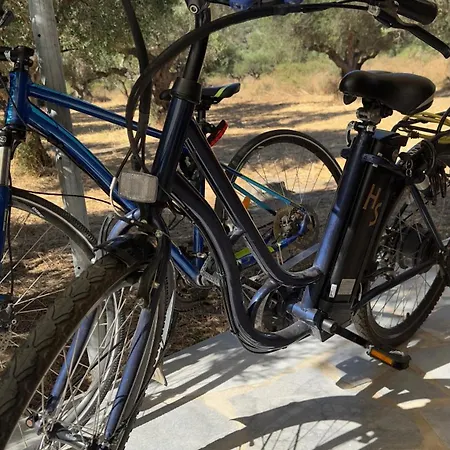 Διαμέρισμα Elaiocampus Luxury House Καμάρες