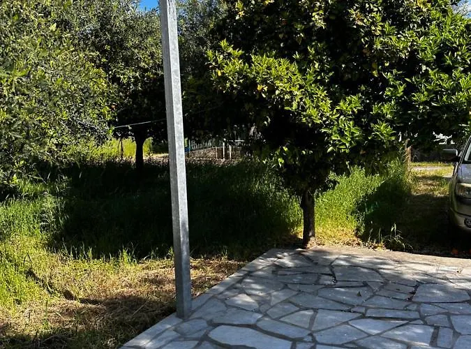 Elaiocampus Luxury House * Kamáres