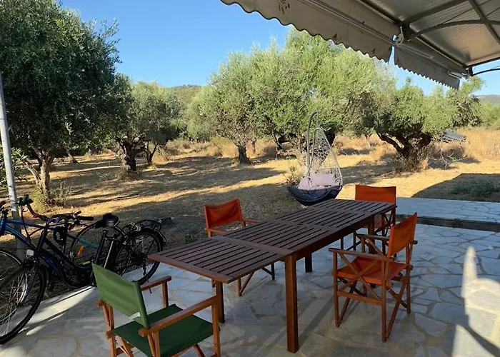 Elaiocampus Luxury House