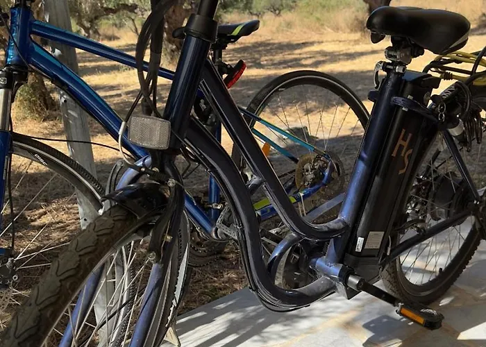 Apartment Elaiocampus Luxury House Kamáres